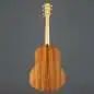 Taylor 217 SB Plus LTD 50th Anniversary