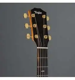 Taylor 217 SB Plus LTD 50th Anniversary
