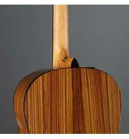 Taylor 217 SB Plus LTD 50th Anniversary