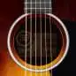 Taylor 217 SB Plus LTD 50th Anniversary