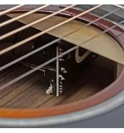 Taylor 217 SB Plus LTD 50th Anniversary