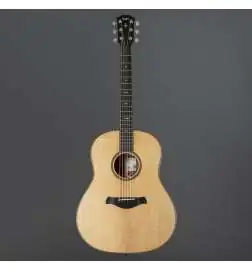 Taylor Builder s Edition 717