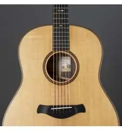 Taylor Builder s Edition 717