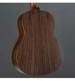 Taylor Builder s Edition 717