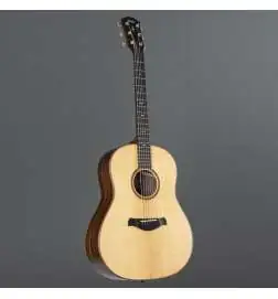 Taylor Builder s Edition 717