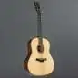 Taylor Builder's Edition 717