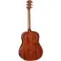 Taylor Gold Label 517e Taylor Gold Label 517e