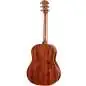 Taylor Gold Label 517e Taylor Gold Label 517e