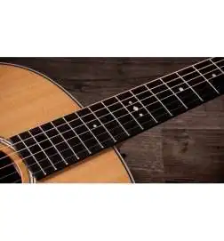 Taylor Gold Label 517e