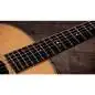 Taylor Gold Label 517e Taylor Gold Label 517e