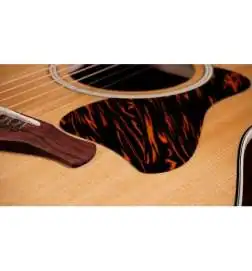 Taylor Gold Label 517e