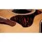 Taylor Gold Label 517e Taylor Gold Label 517e