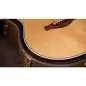 Taylor Gold Label 517e Taylor Gold Label 517e