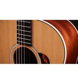 Taylor Gold Label 517e