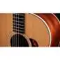 Taylor Gold Label 517e Taylor Gold Label 517e