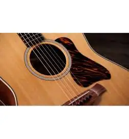 Taylor Gold Label 517e