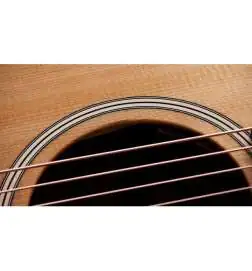 Taylor Gold Label 517e