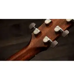 Taylor Gold Label 517e