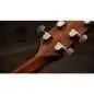 Taylor Gold Label 517e Taylor Gold Label 517e
