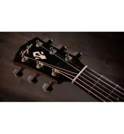 Taylor Gold Label 517e