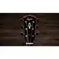 Taylor Gold Label 517e Taylor Gold Label 517e