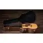 Taylor Gold Label 517e Taylor Gold Label 517e