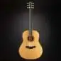 Taylor Builder's Edition 517e