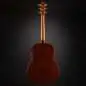 Taylor Builder's Edition 517e