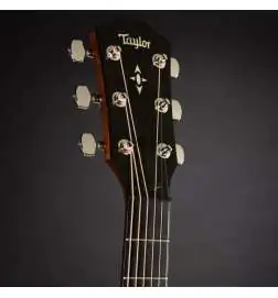 Taylor Builder s Edition 517e