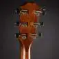 Taylor Builder's Edition 517e