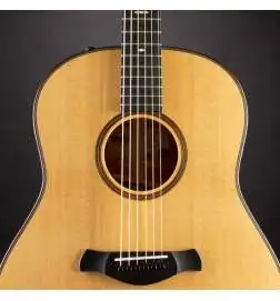 Taylor Builder s Edition 517e