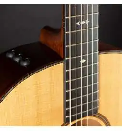 Taylor Builder s Edition 517e