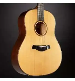 Taylor Builder s Edition 517e