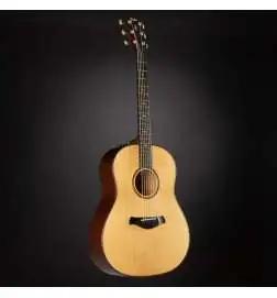 Taylor Builder s Edition 517e