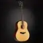 Taylor Builder's Edition 517e
