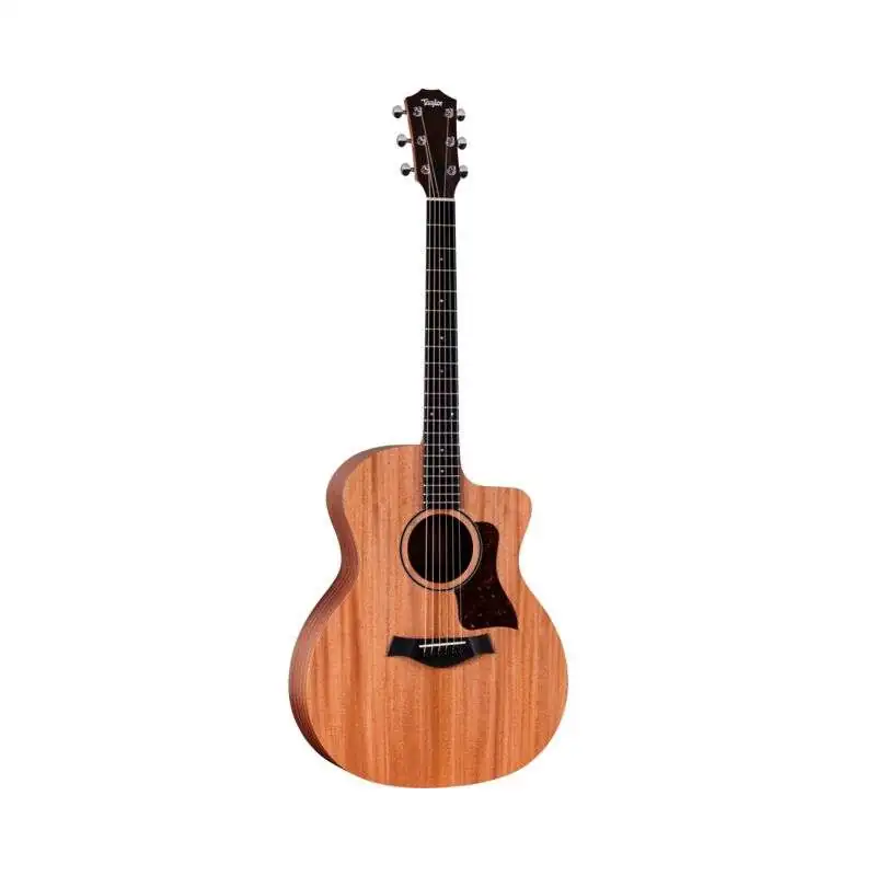 Taylor 24ce