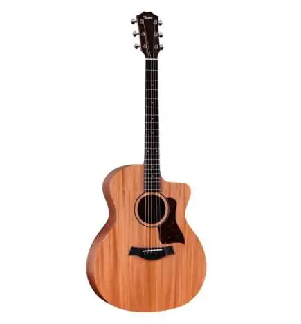 Taylor 24ce