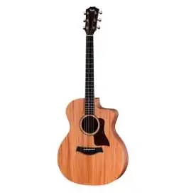 Taylor 24ce