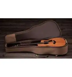 Taylor 24ce