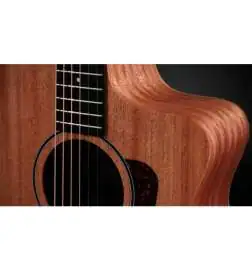Taylor 24ce