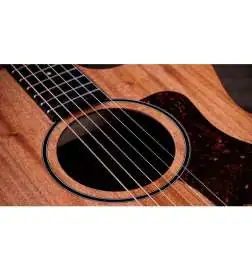 Taylor 24ce