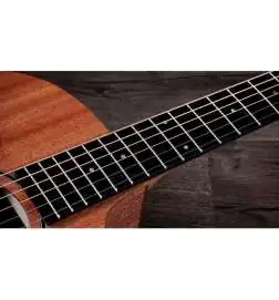 Taylor 24ce