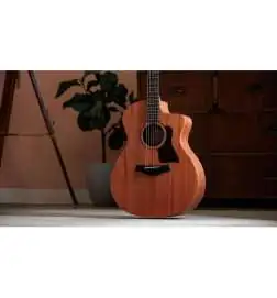 Taylor 24ce
