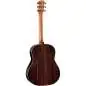 Taylor Gold Label 717e