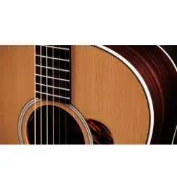 Taylor Gold Label 717e