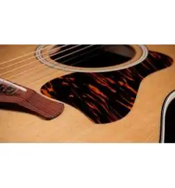 Taylor Gold Label 717e