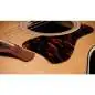 Taylor Gold Label 717e