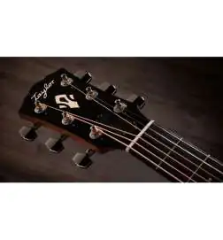 Taylor Gold Label 717e