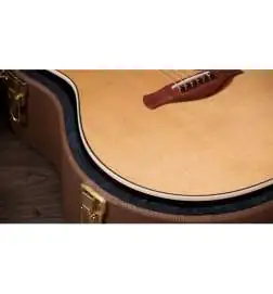 Taylor Gold Label 717e