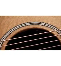 Taylor Gold Label 717e